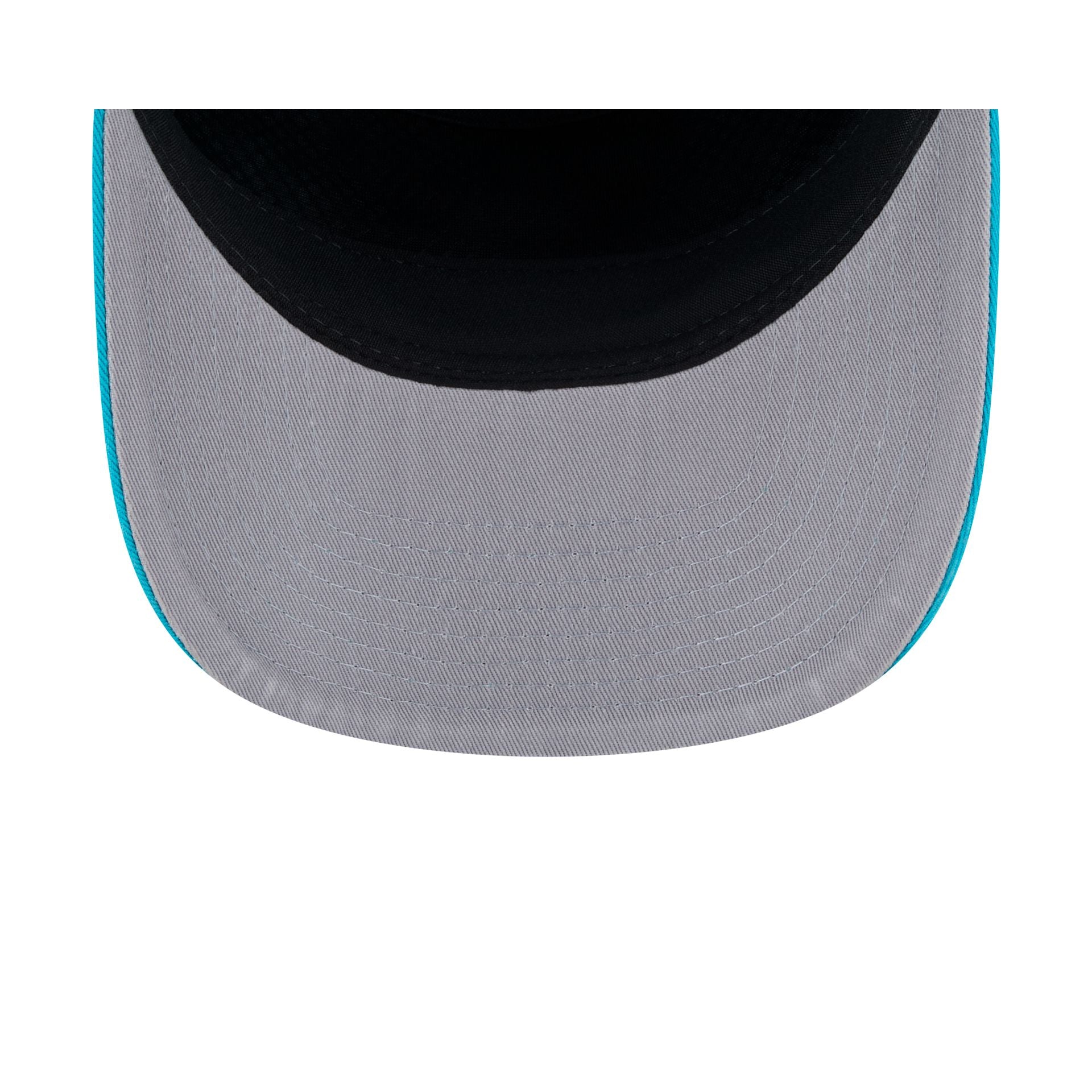 Charlotte Hornets 19TWENTY Snapback Hat