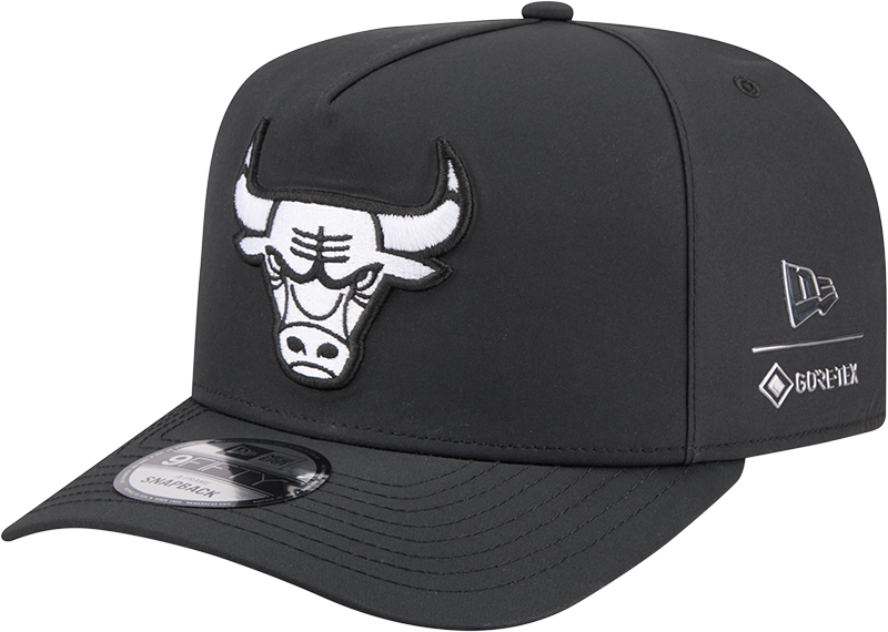 Chicago Bulls GORE-TEX Black 9FIFTY A-Frame Snapback Hat
