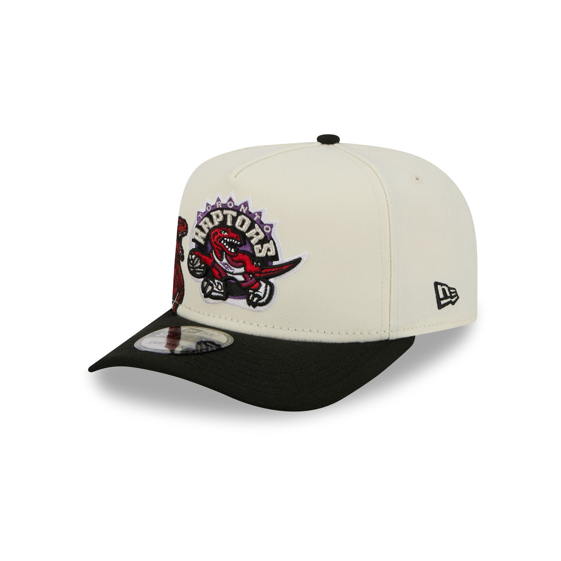 Toronto Raptors 1995-2007 Hardwood Classics Chrome White 9FIFTY A-Frame Snapback Hat