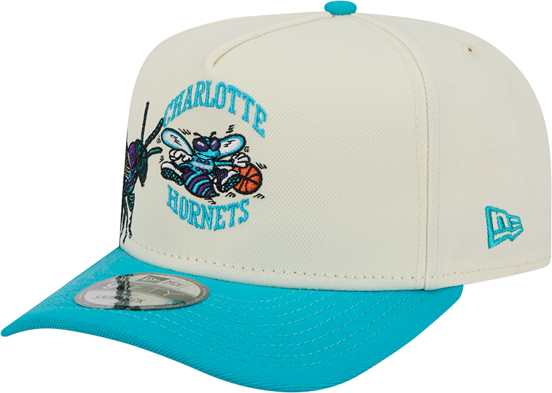 Charlotte Hornets 1988-2002 Hardwood Classics Chrome White 9FIFTY A-Frame Snapback Hat