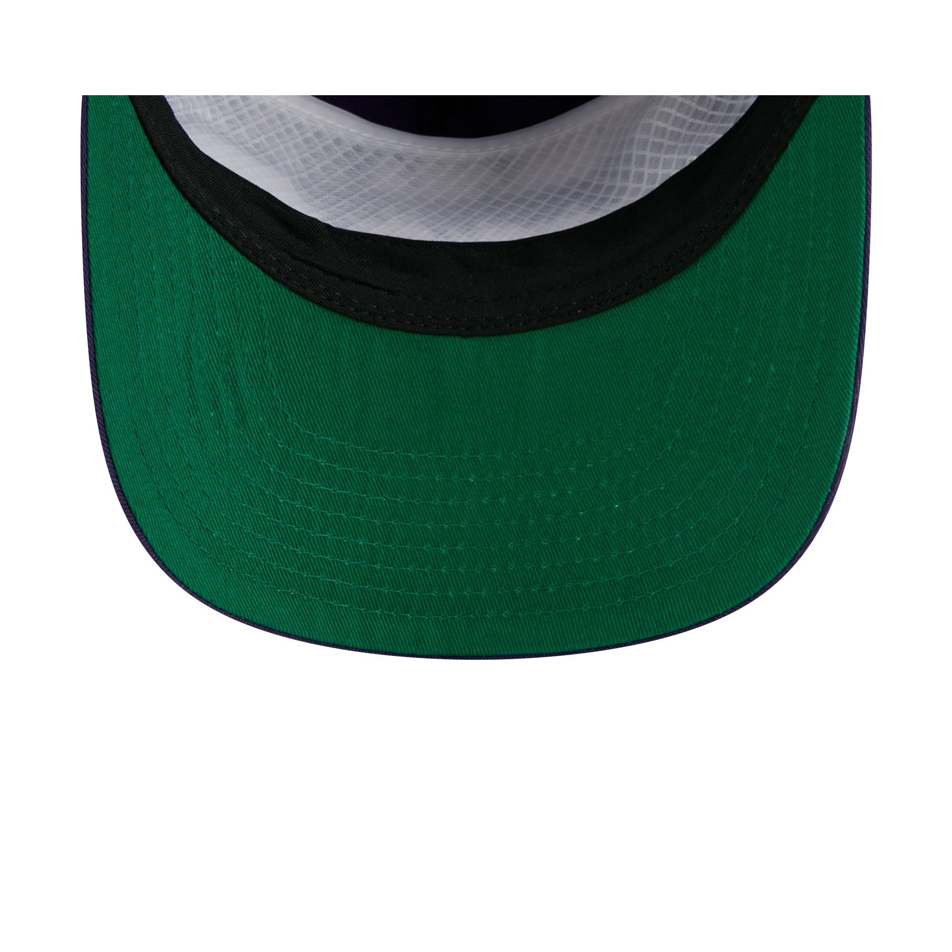 LSU Tigers Script 19TWENTY Snapback Hat