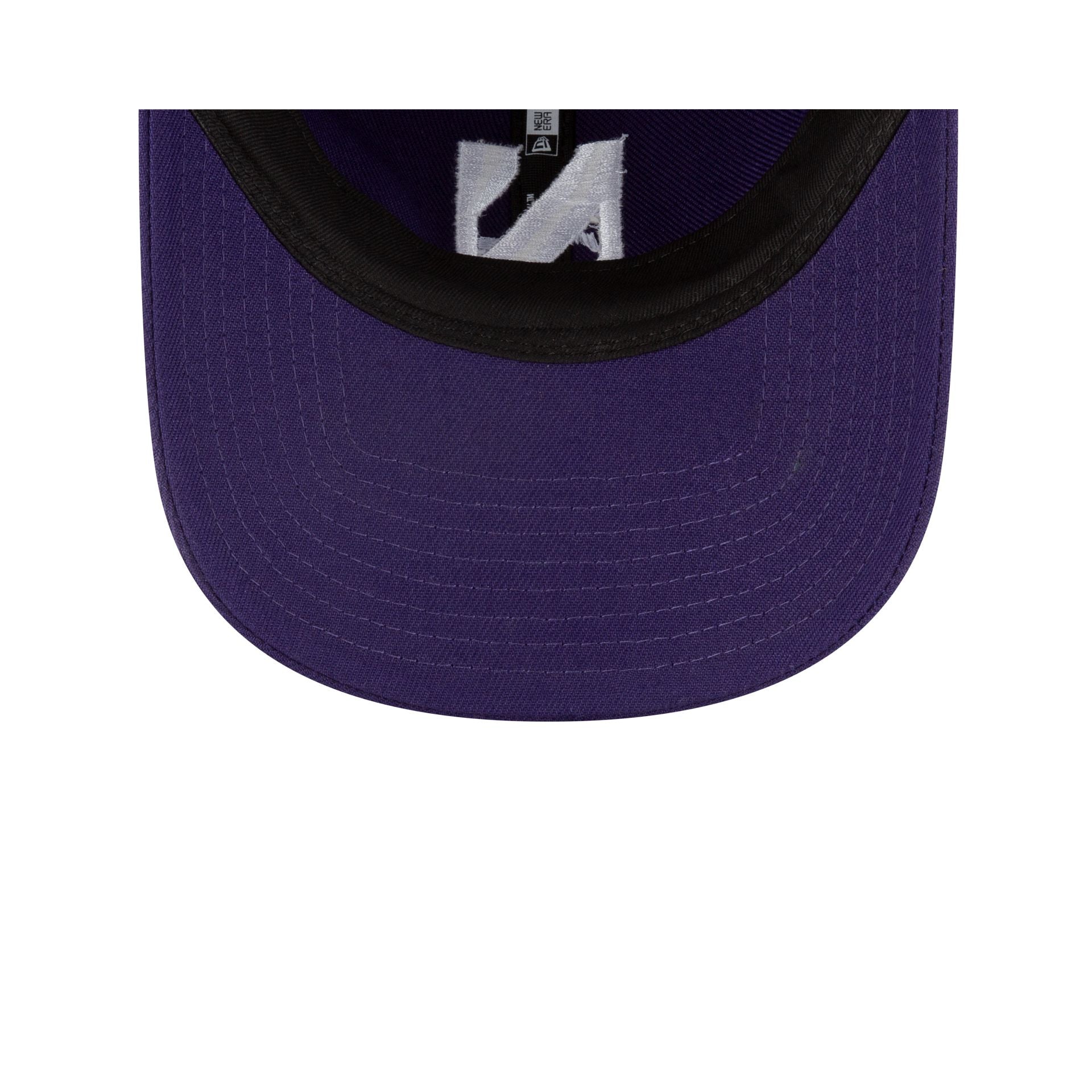 Northwestern Wildcats 9TWENTY Adjustable Hat